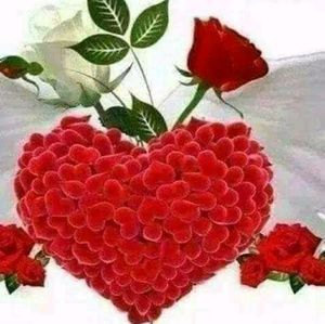 Meet your Posher, Daniela